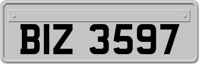 BIZ3597