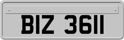 BIZ3611