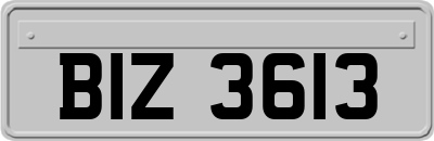 BIZ3613