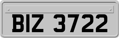 BIZ3722
