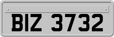BIZ3732