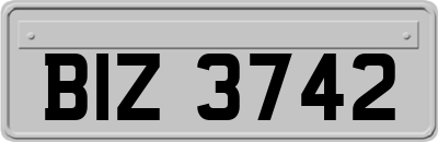 BIZ3742