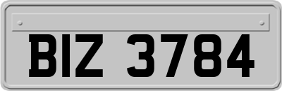 BIZ3784