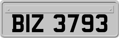 BIZ3793