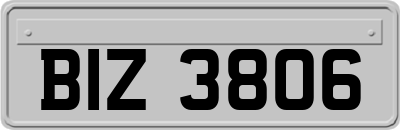 BIZ3806