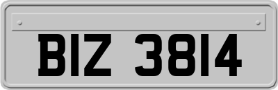 BIZ3814