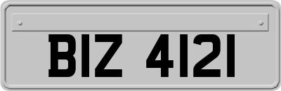 BIZ4121