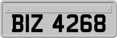 BIZ4268