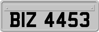 BIZ4453