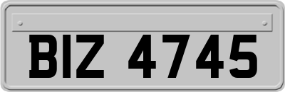 BIZ4745