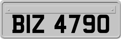 BIZ4790