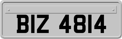 BIZ4814