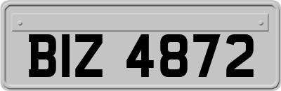BIZ4872