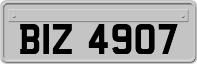 BIZ4907