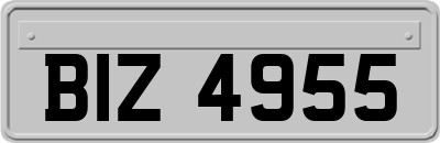 BIZ4955