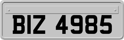 BIZ4985