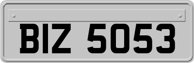 BIZ5053