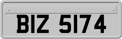 BIZ5174
