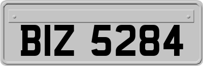 BIZ5284