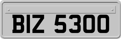 BIZ5300