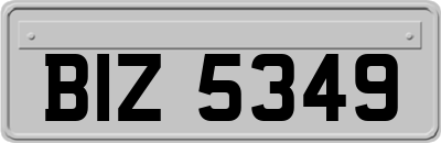 BIZ5349