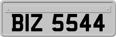 BIZ5544