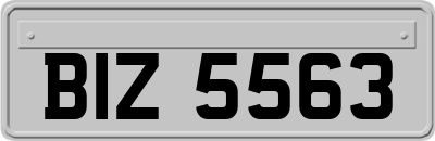 BIZ5563