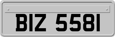 BIZ5581