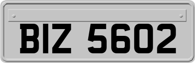 BIZ5602