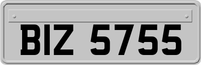 BIZ5755