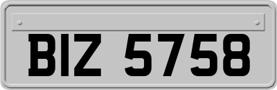 BIZ5758