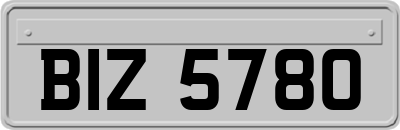BIZ5780