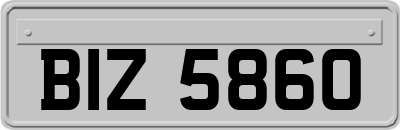 BIZ5860