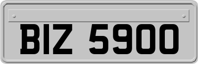 BIZ5900