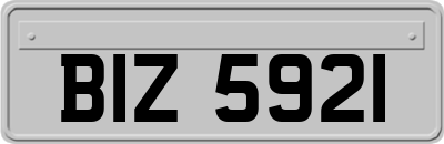 BIZ5921