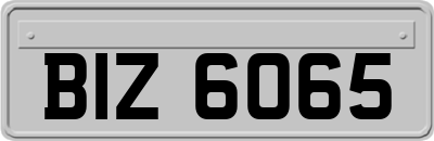 BIZ6065