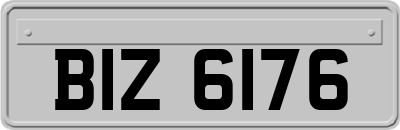 BIZ6176