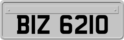 BIZ6210