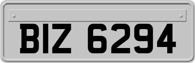 BIZ6294
