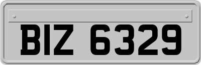 BIZ6329