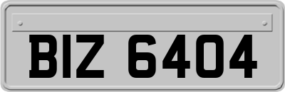 BIZ6404