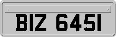 BIZ6451