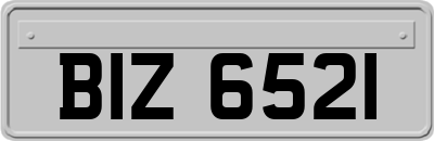 BIZ6521