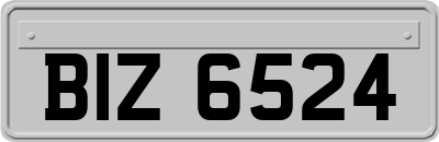 BIZ6524