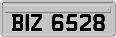 BIZ6528