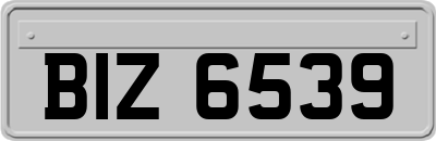 BIZ6539