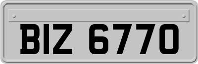 BIZ6770