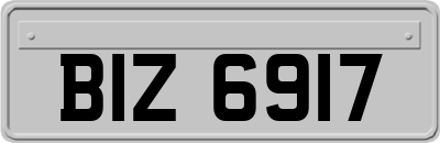BIZ6917