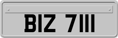 BIZ7111