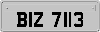 BIZ7113